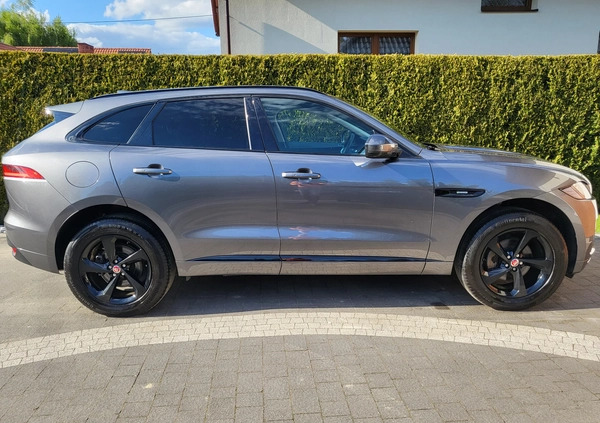 Jaguar F-Pace cena 116990 przebieg: 84000, rok produkcji 2018 z Dynów małe 781